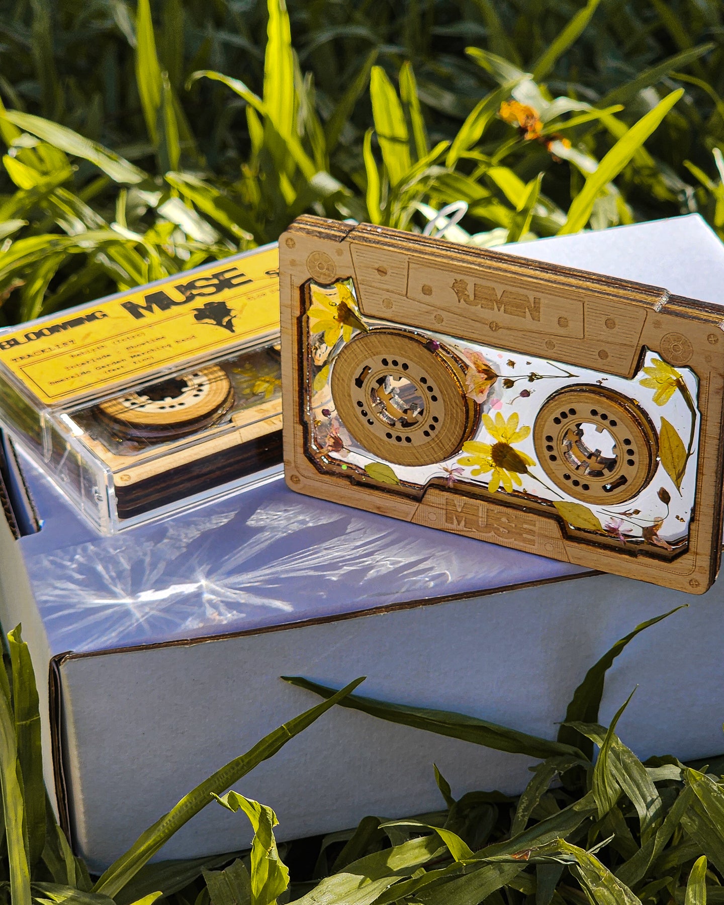 MUSE inspired wooden CASSETTE STANDEE in a box 🌸